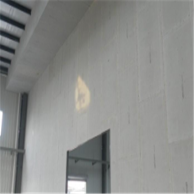 龙腾新型建筑材料掺多种工业废渣的ALC|ACC|FPS模块板材轻质隔墙板